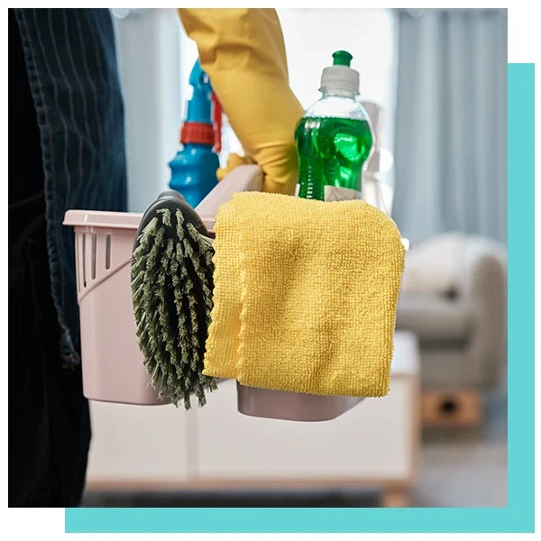 IMGs 1x1 - Majesky cleaning 006